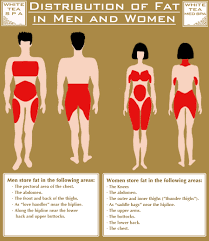 Diet Hard The Simple Science To Weight Loss Thought Puddles