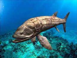 Like modern whale sharks and baleen whales, leedsichthys was a gentle giant that lived on the tiny shrimps, jellyfish and small fish that make up plankton. Leedsichthys Fish Free 3d Model Ma Mb Open3dmodel 47401