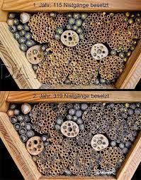 Nisthilfe Mit Naturstrohhalmen Und Papprohrchen Wildbienen Nisthilfen Insektenhotel