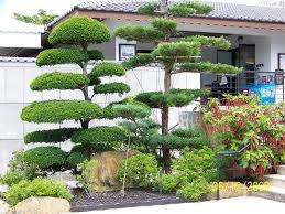 Morikami Gardens Celebrates Japanese Art And Culture