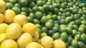 ارتفاع سعر الليمون في الأسواق السورية وتوقعات بزيادة الإنتاج الموسم المقبل