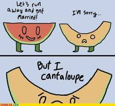Star Crossed Melon Lovers Terrible Puns Corny Jokes Puns