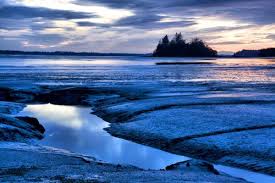 Willapa Bay Favorite Places Travel Natural Landmarks