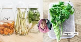We did not find results for: Daun Ketumbar Kekal Segar Selepas Sebulan Simpan Dalam Bekas Kering Kedap Udara Mingguan Wanita