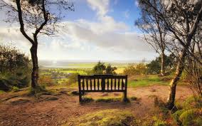 Check spelling or type a new query. Nice Bench Landscape Laptop Backgrounds Wallpaper Nature And Landscape Wallpaper Better