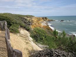 Le Sentier De La Pointe Du Payre Jard Sur Mer 2019 Alles Wat U Moet Weten Voordat Je Gaat Tripadvisor Frankrijk Portugees