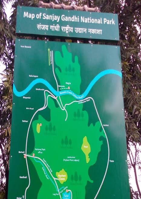 Sanjay Gandhi National Park – Kaziranga National Park and Tiger Reserve ~ Tour Packages & Safari Bookings Official