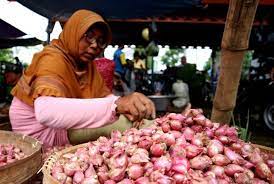 Jumat, 23 agustus 2019 13:27 wib tweet Harga Bawang Merah Dari Rp 12 Ribu Jadi Rp 18 Ribu