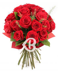 We did not find results for: Livrare Buchet 23 Trandafiri RoÈii