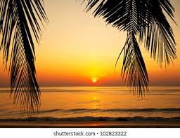 Situated on the beach, this historic vacation home is 0.1 mi (0.1 km) from kiptopeke state park and 10.9 mi (17.6 km) from cape charles beach. Tropical Beach Beautiful Sunset Nature Background Stock Photo Edit Now 102823322