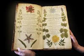 How To Find The Value Of Old Books Value Of Old Books Antique Books Old Books