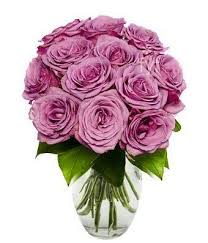 My same day delivery didn't delivery and had no updates from the vendor whatsoever, and the service person had the audacity to request me to change the is from you flowers your business? Flowers One Dozen Purple Roses By From You Flowers Purple Roses Flower Delivery Rose Seeds