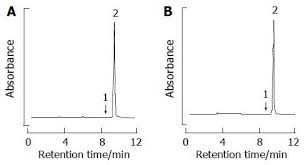 The california seeds are the most bitter, meaning they have the most amygdalin in them. Amygdalin Inhibits Genes Related To Cell Cycle In Snu C4 Human Colon Cancer Cells