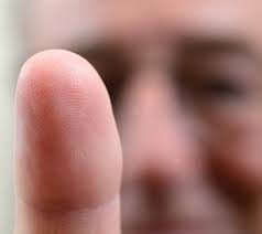 Dept of Food, Bioprocessing and Nutrition Sciences FBNS DIGEST 2017