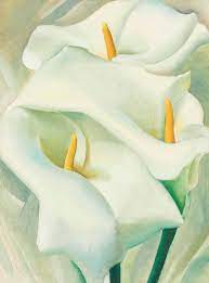 O'keeffe has been very much reduced to one particular body of work, which tends to be read in one particular way, he said. Georgia O Keeffe 1887 1986