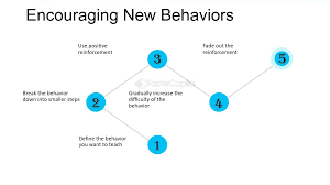 Image result for Behavior Modification