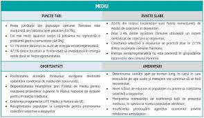 Identificarea factorilor swot numărul de personal al procuraturii: Analiza Swot Primaria Parincea