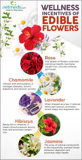 We offer the ability to order flowers for delivery tomorrow to a home or office, this includes weekend delivery. Edible Flowers Incredible Health Benefits Of Adding These Blossoms To Your Diet Infographic