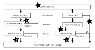 Clem snide preview upcoming album 'forever just beyond' with new song 'roger ebert' 24 january 2020 | rolling stone. Clem Embl