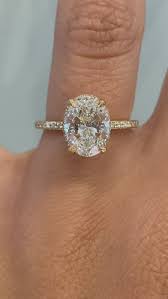 Amber Nolf (ambernolf8)