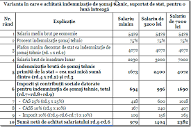 Saga Software Nedumeririle Legate De È™omajul Tehnic Partea I A Saga Software