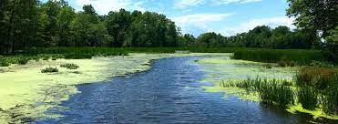 Great Swamp National Wildlife Refuge National Wildlife Refuge Swamp Wildlife Refuge