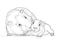 Baby animaling pages remarkable cute mommy and. 18 Mom And Baby Animal Coloring Pages Ideas Animal Coloring Pages Coloring Pages Coloring Pages For Kids