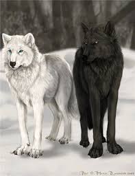 Anime Black And White Wolf Pictures Painting Of White And Black Wolf Wolf Painting Two Wolves Black Wolf