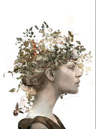 Kate Harrold Photography