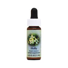 Flower Essence Services Holly Dropper 25 Fl Oz Liquid Buy Online In Aruba At Desertcart Productid 70313532