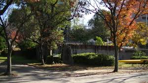 「桜ノ宮公園」の画像検索結果