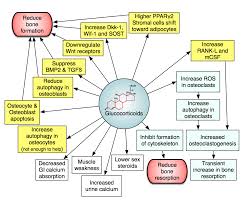 steroid induced osteoporosis