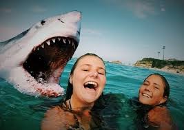 The term selfie is often misused. Die Personlichkeit Der Generation Selfie Klaus Grawe Institut