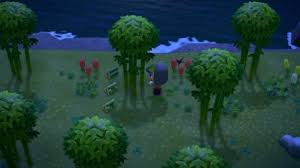 In new leaf , bamboo does not grow naturally in the town and must be bought from leif when his shop is merged with t.i.y. Acnh Bamboo Bamboo Shoots Young Spring Bamboo How To Get Animal Crossing Gamewith