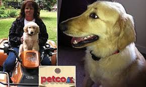 Tag @petco for a chance to be featured. Petco Takes Full Responsibility For Death Of Dog Who Died At Store With Temperature Of 105 Degrees Daily Mail Online