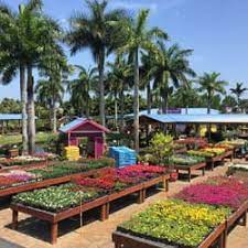 Flamingo road nursery & farmer's market's best boards. Flamingo Road Nursery Garden Center Davie Fl Flamingo Road Nursery