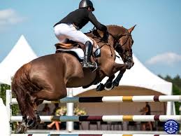 Salto ecuestre