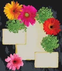 Our online condolences cards deliver instantly, and never contain ads. 18 Bible Verses For Sympathy Cards