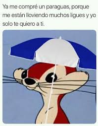 Pin On Meme Del Dia