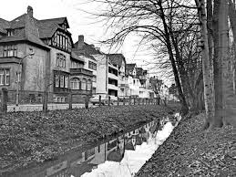 Hannover Kleefeld 1972 Die Kaulbachstrasse Direkt An Der Eilenriede Hannover Felder
