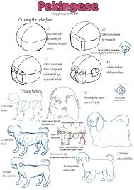 Antistress freehand sketch drawing with doodle and. Pekingese Breed Guide Part 2 By Doggiedoodles On Deviantart Pekingese Pekingese Dogs Pekingese Puppies