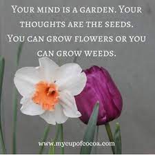 11 Inspirational Quotes For Spring My Cup Of Cocoa Springtime Quotes Gardening Quotes Inspirational Spring Quotes