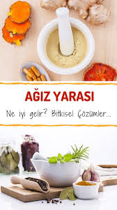 Kolaj Foto Yemek Tarifleri Yemek Saglikli Yasam