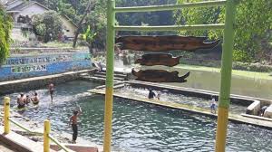 Cukup Rp 2 500 Pengunjung Bisa Nikmati Kesejukan Berenang Di Wisata Mata Air Cimutan Subang Tribun Jabar