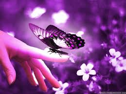 Flowers are beautiful and it is the best way to express your feelings towards others. Beautiful Flower Images With Butterfly 1024x768 Download Hd Wallpaper Wallpapertip