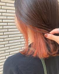 beauty target in 2021 hidden hair color hair color underneath hair streaks