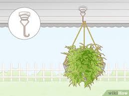 8 Clever Ways To Hang Plants Without