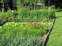 Anbauplan Fur Gemuse Erstellen Schritt Fur Schritt Erklart Garten Selbstversorger Garten Garten Anlegen