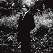 La nuit, je mens, je prends des trains à travers la plaine. Alain Bashung Lyrics Songs And Albums Genius