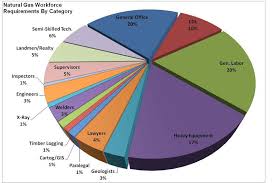 this pie chart illustrates the composition of the over 400